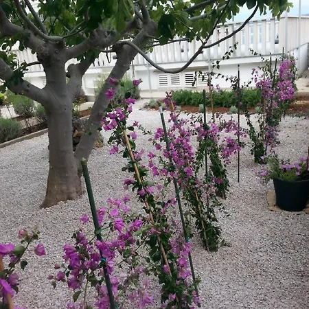 Lidija